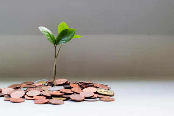 Financial support